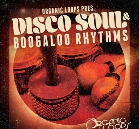 Organic Loops Disco Soul and Boogaloo Rhythms WAV REX